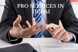 Professional meeting discussing PRO services in Dubai for business setup